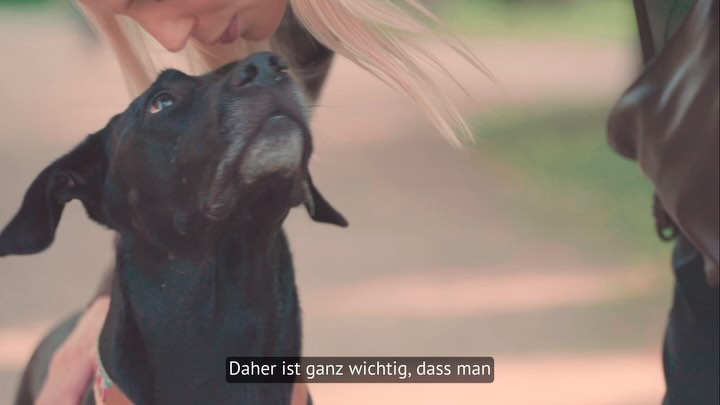 „Ein Tier zu retten, verändert nicht die ganze Welt.
Aber die ganze Welt verändert sich für das Tier!“

Wenn wir bei TEAM LEWIS über eine weltweite Unterstützung von 2.000 lokalen Vereinen sprechen, dann geht es nicht nur um Spenden. Wir erstellen #webseiten, #texte, #design und produzieren #videocontent, um auch kleinere, lokale Vereine sichtbar zu machen.

Ich freue mich daher besonderes, die @tierhilfe_fuenfseenland mit der Produktion von fünf kurzen Videoporträts zu unterstützen!❤️🐶🐈

#videoproductioncompany #charity #support #charitysupport #videoproduction #storytelling #local #hund #katze #tierhilfe #tierschutz #tierschutzverein #unterstützung #marketingconsulting #marketing #videoschnitt #storyteller #story #agencylife #filmmaker #filmmakerslife #fulmmaking